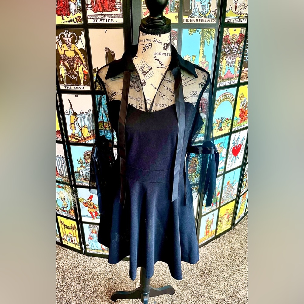 Black Collared Ribbon Sheer Dress